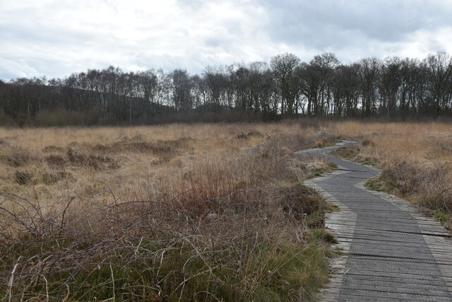 Boardwalk, Danes Moss