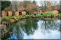 SO7875 : Ornamental fishpond in March (1),  Queen Elizabeth II Gardens, Bewdley, Worcs by P L Chadwick