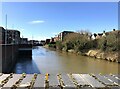 TF4609 : The River Nene between the bridges in Wisbech by Richard Humphrey