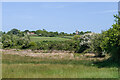 SZ6387 : Alongside Brading Marshes by Ian Capper