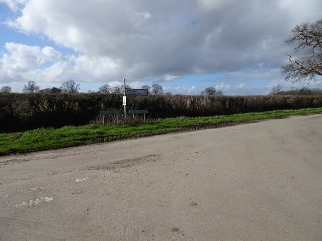 Lutley Junction View