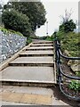 SX9676 : Steps to Thompson's Path, Dawlish by Robin Stott