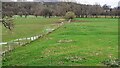  : Fields on south side of road between Lanercost and Burtholme by Luke Shaw