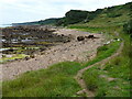 NO5415 : Beach along the Fife coastline by Mat Fascione