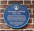 SJ8990 : Elizabeth Raffald (1733-1781) by Gerald England