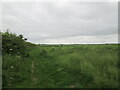 TA0319 : Track  becomes  a  field  edge  footpath  heading  south by Martin Dawes