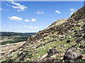 NR9899 : Landslip debris on steep hill face by Trevor Littlewood