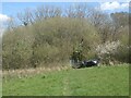 SS8880 : The Bridgend Circular Walk approaching woodland on the south side of the Ffornwg valley by eswales