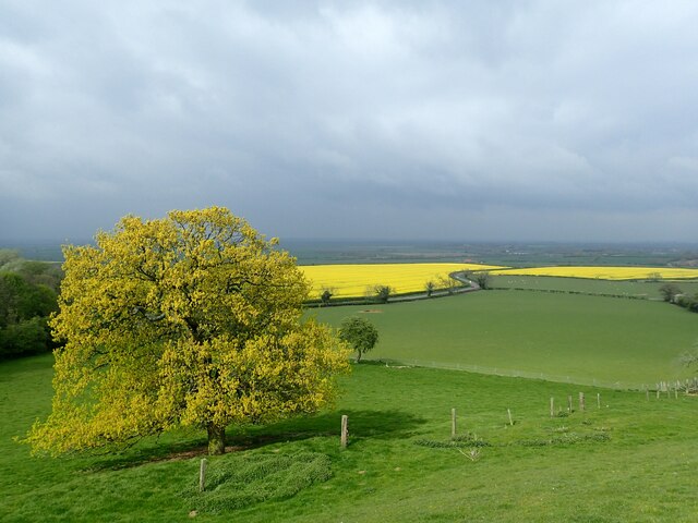 View from Beacon Hill