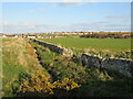 ND0969 : Drainage ditch near Thurso by Malc McDonald