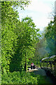 SO7484 : Country Park Halt near Woodhill in Shropshire by Roger  D Kidd