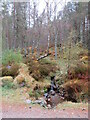 NH8814 : Stream in woodland near Aviemore by Malc McDonald