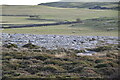 SH7583 : Limestone pavement (set of 2 images) by N Chadwick