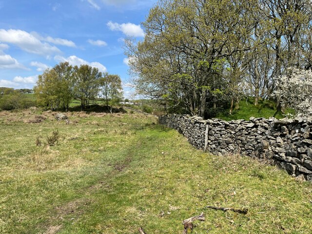 Bridleway near Wall Nook