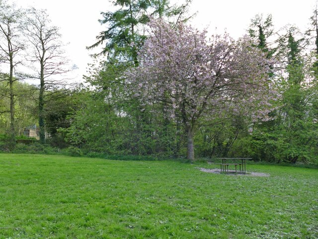 Picnic area by the canal near Newlay Lane