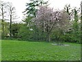 SE2436 : Picnic area by the canal near Newlay Lane by Stephen Craven