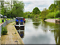 SJ6566 : Winsford Marina, Weaver Navigation by David Dixon