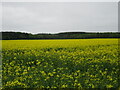  : Coverdale Moor by T  Eyre