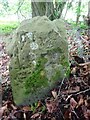 SO5708 : Boundary Stone, near Lambsquay Road by Mr Red