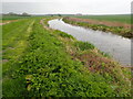 SK7492 : Alongside the Chesterfield Canal by Marathon