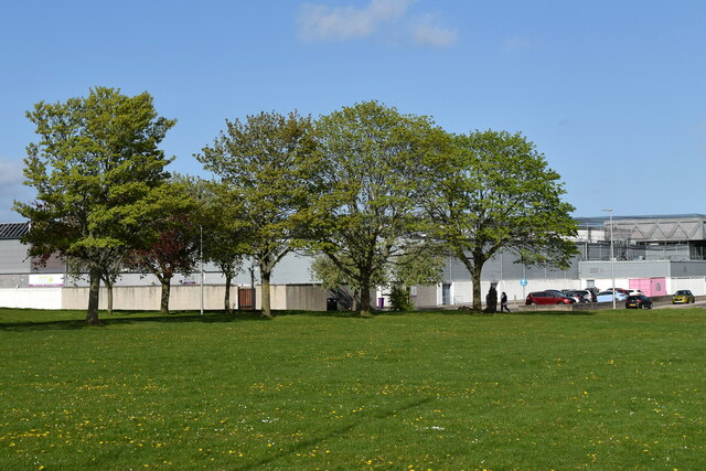 Trees at the corner...