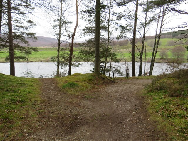 Path in the Balmoral Estate