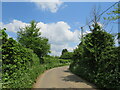 SU7828 : Rake Road, Liss, near Petersfield by Malc McDonald