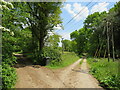 SU8029 : Private driveway near Liss by Malc McDonald