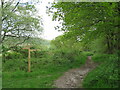 SU8129 : Bridleways in the South Downs National Park, near Liss by Malc McDonald