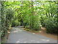 SU8229 : Driveway and public bridleway near Liphook by Malc McDonald