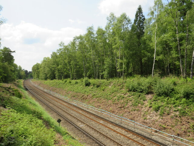 Railway line near Liphook