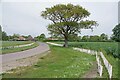 TM1622 : New Hedge Near Barnard's Farm by Glyn Baker