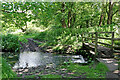 SJ8903 : River Penk east of Bilbrook in Staffordshire by Roger  D Kidd