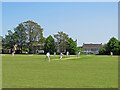 TL5480 : League cricket, Paradise by John Sutton