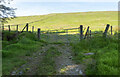 D1237 : Gate, Knocklayd by Rossographer