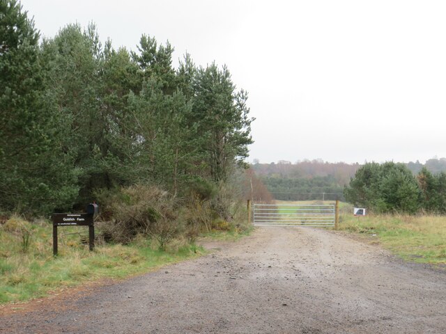 Farm access drive near Aviemore