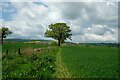 SO5589 : The Shropshire Way near Holdgate by Jeff Buck