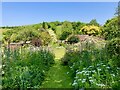 ST0834 : Elworthy cottage gardens (1) by Marika Reinholds