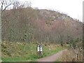 NH8912 : Path into Craigellachie Nature Reserve, Aviemore by Malc McDonald