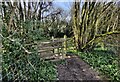 SO6099 : Gate along the Shropshire Way at Wenlock Edge by Mat Fascione