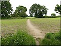 SK6250 : Footpath across the field leaving Thorndale Plantation by Alan Murray-Rust