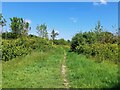 SK2124 : Footpath in Anslow Park Woodland by Ian Calderwood