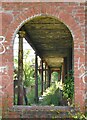 NS6068 : Looking into the Winter Gardens by Richard Sutcliffe