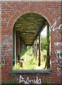 NS6068 : Looking into the Winter Gardens by Richard Sutcliffe