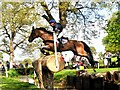 ST8182 : Badminton Horse Trials, Gloucestershire 2023 by Ray Bird