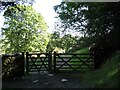 SD3098 : Gate on The Cumbria Way by Adrian Taylor