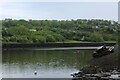 NZ3857 : River Wear at Deptford, Sunderland by Chris Heaton