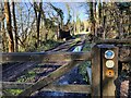 SO5695 : Shropshire Way at Wenlock Edge by Mat Fascione