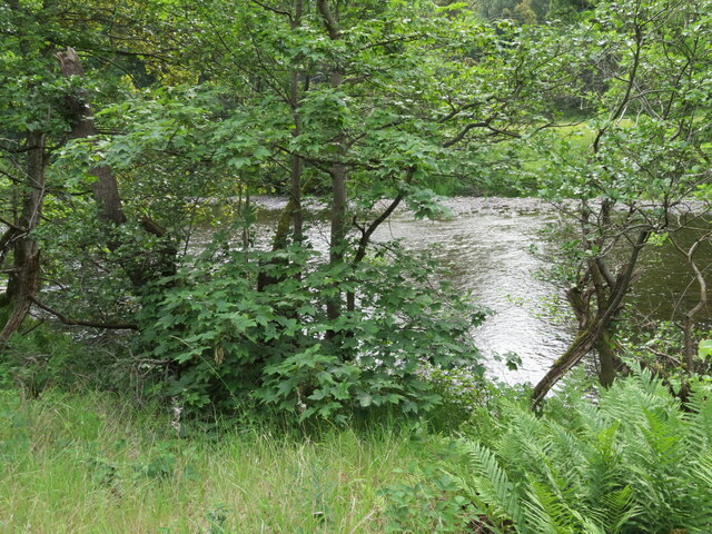 The River Tweed at Fairnilee