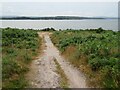 SY9790 : Path on Ham Common, Poole by Malc McDonald